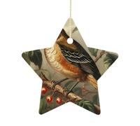 2.7 Inch Ceramic Christmas Star Ornament - Bird on Branch Double-Sided Printed Porcelain Tree Hanging Decor with Gold String, Vintage Holiday Decoration for Xmas Tree, Mantel, Gift