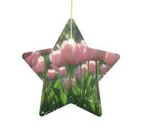 2.7 Inch Ceramic Christmas Star Ornament - Blooming Peach Tulips Double-Sided Printed Porcelain Tree Hanging Decor with Gold String, Vintage Holiday Decoration for Xmas Tree, Mantel, Gift