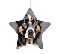 2.7 Inch Ceramic Christmas Star Ornament - Dog Breed Double-Sided Printed Porcelain Tree Hanging Decor with Gold String, Vintage Holiday Decoration for Xmas Tree, Mantel, Gift