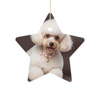 2.7 Inch Ceramic Christmas Star Ornament - French Poodle Double-Sided Printed Porcelain Tree Hanging Decor with Gold String, Vintage Holiday Decoration for Xmas Tree, Mantel, Gift