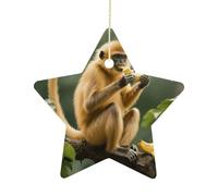 2.7 Inch Ceramic Christmas Star Ornament - Golden Monkey Double-Sided Printed Porcelain Tree Hanging Decor with Gold String, Vintage Holiday Decoration for Xmas Tree, Mantel, Gift