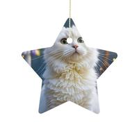 2.7 Inch Ceramic Christmas Star Ornament - Gorgeous White Cat Double-Sided Printed Porcelain Tree Hanging Decor with Gold String, Vintage Holiday Decoration for Xmas Tree, Mantel, Gift