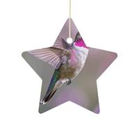 2.7 Inch Ceramic Christmas Star Ornament - Humming Birds Double-Sided Printed Porcelain Tree Hanging Decor with Gold String, Vintage Holiday Decoration for Xmas Tree, Mantel, Gift
