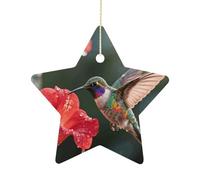2.7 Inch Ceramic Christmas Star Ornament - Hummingbird Hover Double-Sided Printed Porcelain Tree Hanging Decor with Gold String, Vintage Holiday Decoration for Xmas Tree, Mantel, Gift