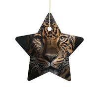 2.7 Inch Ceramic Christmas Star Ornament - Leopard Double-Sided Printed Porcelain Tree Hanging Decor with Gold String, Vintage Holiday Decoration for Xmas Tree, Mantel, Gift