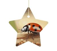 2.7 Inch Ceramic Christmas Star Ornament - Orange Ladybug on Beige Background Double-Sided Printed Porcelain Tree Hanging Decor with Gold String, Vintage Holiday Decoration for Xmas Tree, Mantel, Gift