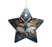 2.7 Inch Ceramic Christmas Star Ornament - Owl Double-Sided Printed Porcelain Tree Hanging Decor with Gold String, Vintage Holiday Decoration for Xmas Tree, Mantel, Gift