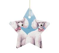 2.7 Inch Ceramic Christmas Star Ornament - Poodles Dogs Double-Sided Printed Porcelain Tree Hanging Decor with Gold String, Vintage Holiday Decoration for Xmas Tree, Mantel, Gift