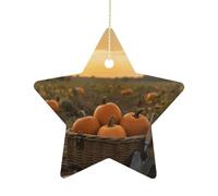 2.7 Inch Ceramic Christmas Star Ornament - Pumpkins in Field Double-Sided Printed Porcelain Tree Hanging Decor with Gold String, Vintage Holiday Decoration for Xmas Tree, Mantel, Gift