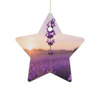 2.7 Inch Ceramic Christmas Star Ornament - Purple Lavender Double-Sided Printed Porcelain Tree Hanging Decor with Gold String, Vintage Holiday Decoration for Xmas Tree, Mantel, Gift