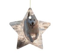 2.7 Inch Ceramic Christmas Star Ornament - Running on The Beach Double-Sided Printed Porcelain Tree Hanging Decor with Gold String, Vintage Holiday Decoration for Xmas Tree, Mantel, Gift