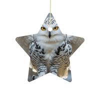 2.7 Inch Ceramic Christmas Star Ornament - Snow Owl Double-Sided Printed Porcelain Tree Hanging Decor with Gold String, Vintage Holiday Decoration for Xmas Tree, Mantel, Gift