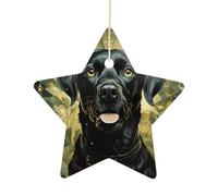 2.7 Inch Ceramic Christmas Star Ornament - Surrounded by Green Splash Circle Double-Sided Printed Porcelain Tree Hanging Decor with Gold String, Vintage Holiday Decoration for Xmas Tree, Mantel, Gift