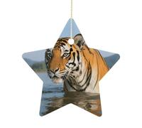 2.7 Inch Ceramic Christmas Star Ornament - Tiger Double-Sided Printed Porcelain Tree Hanging Decor with Gold String, Vintage Holiday Decoration for Xmas Tree, Mantel, Gift