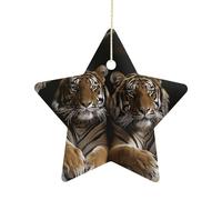 2.7 Inch Ceramic Christmas Star Ornament - Tiger in Cave Double-Sided Printed Porcelain Tree Hanging Decor with Gold String, Vintage Holiday Decoration for Xmas Tree, Mantel, Gift