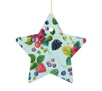 2.7 Inch Ceramic Christmas Star Ornament - Various Berry Paintings Double-Sided Printed Porcelain Tree Hanging Decor with Gold String, Vintage Holiday Decoration for Xmas Tree, Mantel, Gift