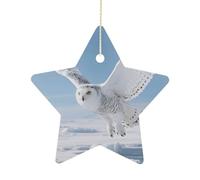 2.7 Inch Ceramic Christmas Star Ornament - White Snowy Owl Double-Sided Printed Porcelain Tree Hanging Decor with Gold String, Vintage Holiday Decoration for Xmas Tree, Mantel, Gift
