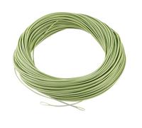 2-8LB Double Taper Floating Fly Line, Forward Tilt Design, Suitable for Trout/Salmon, Suitable for Freshwater and Saltwater Fly Lines,Moss Green With Loop,DT6F