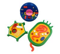 2 Animal and Plant Cell Model Set Anatomical Biology Teaching Aid for Classroom Lab Demonstrations Biology Teaching Tool