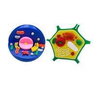 2. Animal and Plant Cell Model Set Anatomical Biology Teaching Aid for Classroom Lab Demonstrations Biology Teaching Tool School Science Education Tools