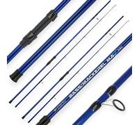 2 AP Bass Mackerel Spinning Rod 10ft 2pc Pollack Shore Sea Fishing Lure Rod Blue