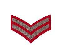 2 Bar Chevron Corporal (Cpl) Queen Alexandra's Royal Army Nursing Corps (QARANC) Army Medical Services - British Army Badge