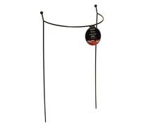 2 Black Metal Steel Herbaceous Garden Plant Support Arc Small 60x36cm Samuel Alexander Black One Size
