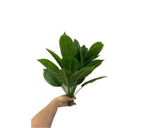 2 Bunches Artificial Bird of Paradise Plants 18" Permanent Leaf,Tropical Leaves Faux Strelitzia 12 Leaves Banana Tree for Potted Plant Flower Arrangement,Outdoor UV Garden Resistant Decor Green