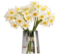 2 Bundle Artificial Daffodil Flowers 16 Inch Real Touch Fake Narcissus Flower for Home Party Wedding Office Anniversary Decor, White