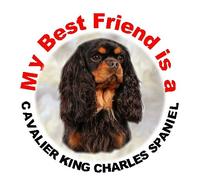 2 Cavalier King Charles Spaniel Car Stickers My Best Friend - Black & Tan