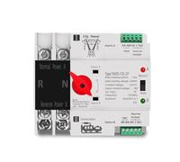 2-Channel Controller Single Phase Din Rail ATS 220V Dual Power Automatic Transfer Electrical Selector Switches Uninterrupted 2P 63A 100A 125A(63A)