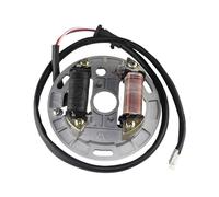 2 Coil Ignition Magneto Stator Plate Fit For Szk Qt 80 LT80 LT 80 Kak KFX 80