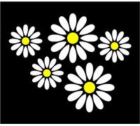 2 Colour Daisy Flower Car,Camper Van Window Stickers x5