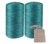 2 Crochet Sun Hat Yarn Beach Bag Yarn Rayon Raffia Crochet Yarn, Crochet Straw Knit Yarn, Nylon Crochet Yarn Hollow Yarn for Summer Cool Hat Shoes Bags Cushions