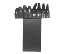 2 Devil's Hand Bookmark | Horror Halloween Resin Bookmarks - Fashionable Hand Resin Bookmark, Adult Bookmarks, Bookshelf Gifts Tumotsit