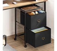 2 Drawer Filing Cabinet, Mobile Under Desk Storage Drawers with Wheels, Small Office Drawers Organizer for Storage Document Storage for Home Office, Black, 26.3 x 15.7 x 15.7IN