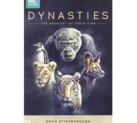 2 Dvd Stackpack - Dynasties