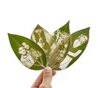 2 For 1 Custom Light Up Photo Frame-Double Sided Wooden Display with Leaf Engraving, Personalised Gift for Couples, Friends or Family, Memory Holder for Wedding, Graduation(Leaf 2 Pack,NO Frame)