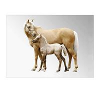2 for 1 Equestrian Greeting Cards, Mare And Foal