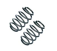 2 front coil springs OE Replacement 2-R10563 for Dacia Logan spare parts 6001547