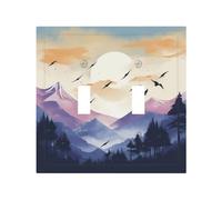 2-Gang Light Switch Cover birds flying at sunset Wall Plate for Electrical Outlets Double Decorator Wall Plates 4.9" x 5" Mid-size Receptacle Outlet Covers Blank Faceplate Cover