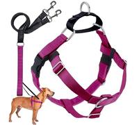 2 Hounds Design Freedom Dog Harness & Leash No Pull, Adjustable, Easy Walking & Comfortable Control, for Small, Medium & Large Dogs, Solid Colors, Made in USA, 2.5cm MD, Raspberry