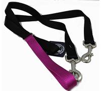 2 Hounds Design Freedom No Pull 1 Inch Training Leash ONLY Works with No Pull Harnesses Raspberry