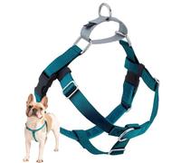 2 Hounds Design Freedom No Pull Dog Harness, Adjustable Harness, Easy Walking & Comfortable Control, Fits Small, Medium & Large Dogs, Solid Colors, Made in USA, 1" LG, Teal