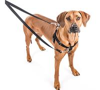 2 Hounds Design Freedom No-Pull Dog Harness Training Package, X-Small, Purple