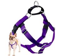 2 Hounds Design Freedom No-Pull Dog Harness with Leash, Large, 1-Inch Wide, Purple