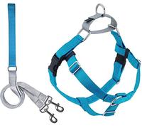 2 Hounds Design Freedom No-Pull Dog Harness with Leash, Large, 1-Inch Wide, Turquoise
