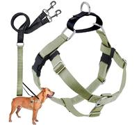2 Hounds Design Freedom No-Pull Dog Harness with Leash, Medium, 1-Inch Wide, Tan
