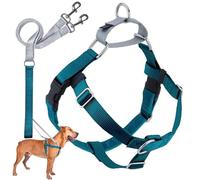 2 Hounds Design Freedom No-Pull Dog Harness with Leash, Medium, 1-Inch Wide, Teal