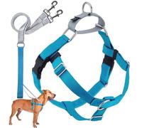2 Hounds Design Freedom No-Pull Dog Harness with Leash, Medium, 1-Inch Wide, Turquoise